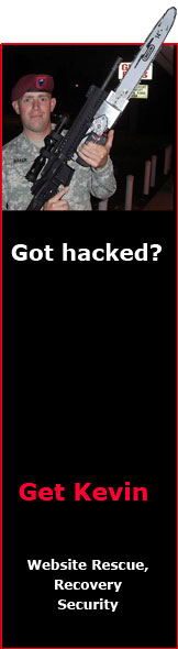 Website Rescue, Recovery, & Security