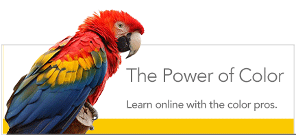 Color Parrot online courses
