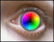 Eye with color vision
