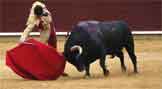 toro de lidia y capa roja