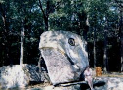Frog Rock before it was painted green